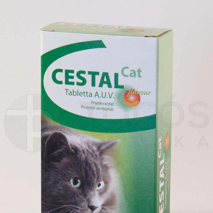 Cestal cat a.u.v. 1 X